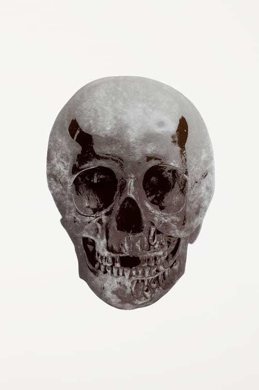 Damien Hirst The Dead (silver gloss, gunmetal) (Signed Print