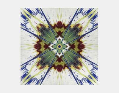 Damien Hirst: H1-12 Enter The Infinite - Seeing - Tapestry