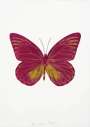 Damien Hirst: The Souls I (fuchsia pink, oriental gold) - Signed Print