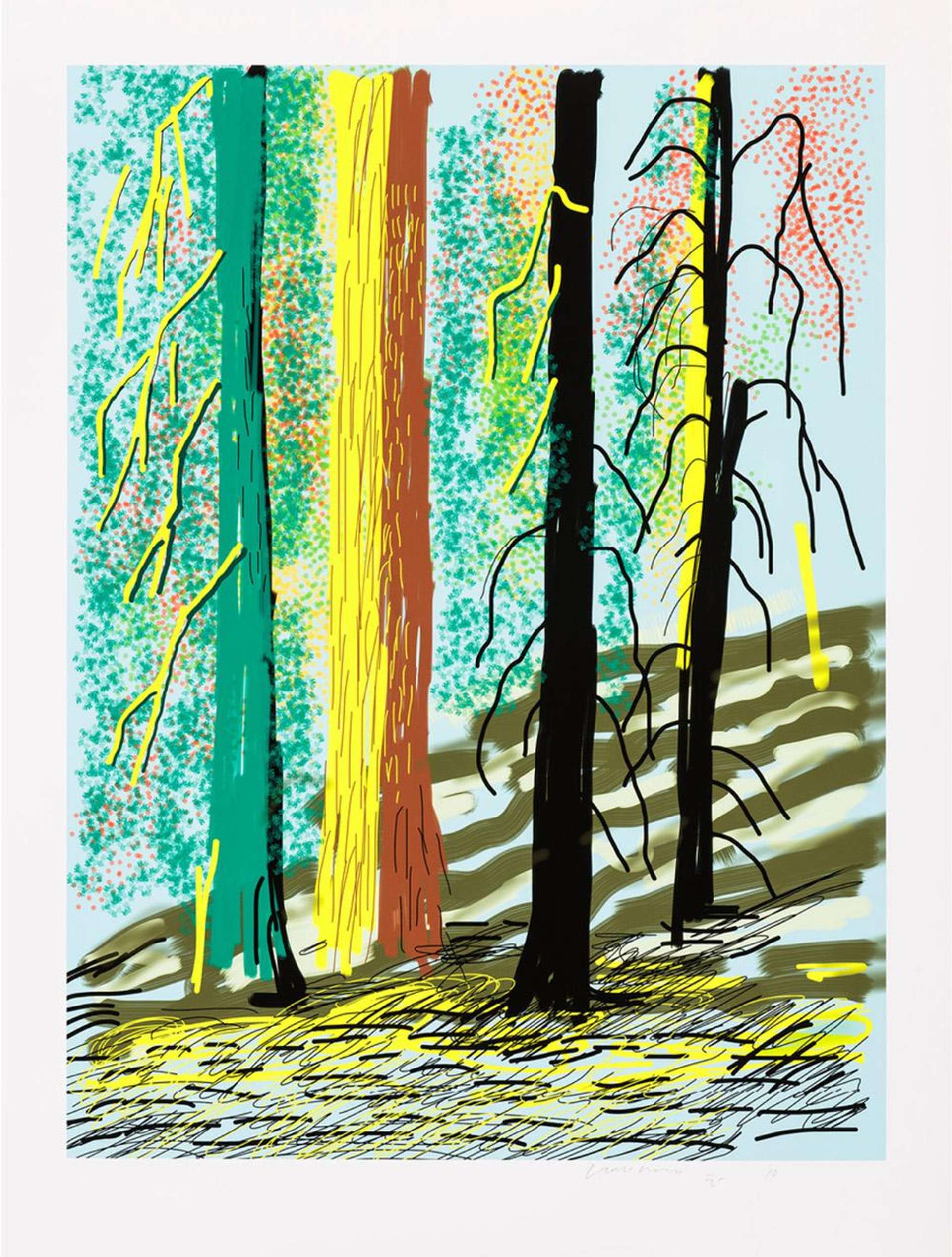 The Yosemite Suite 7 - Signed Print by David Hockney 2010 - MyArtBroker