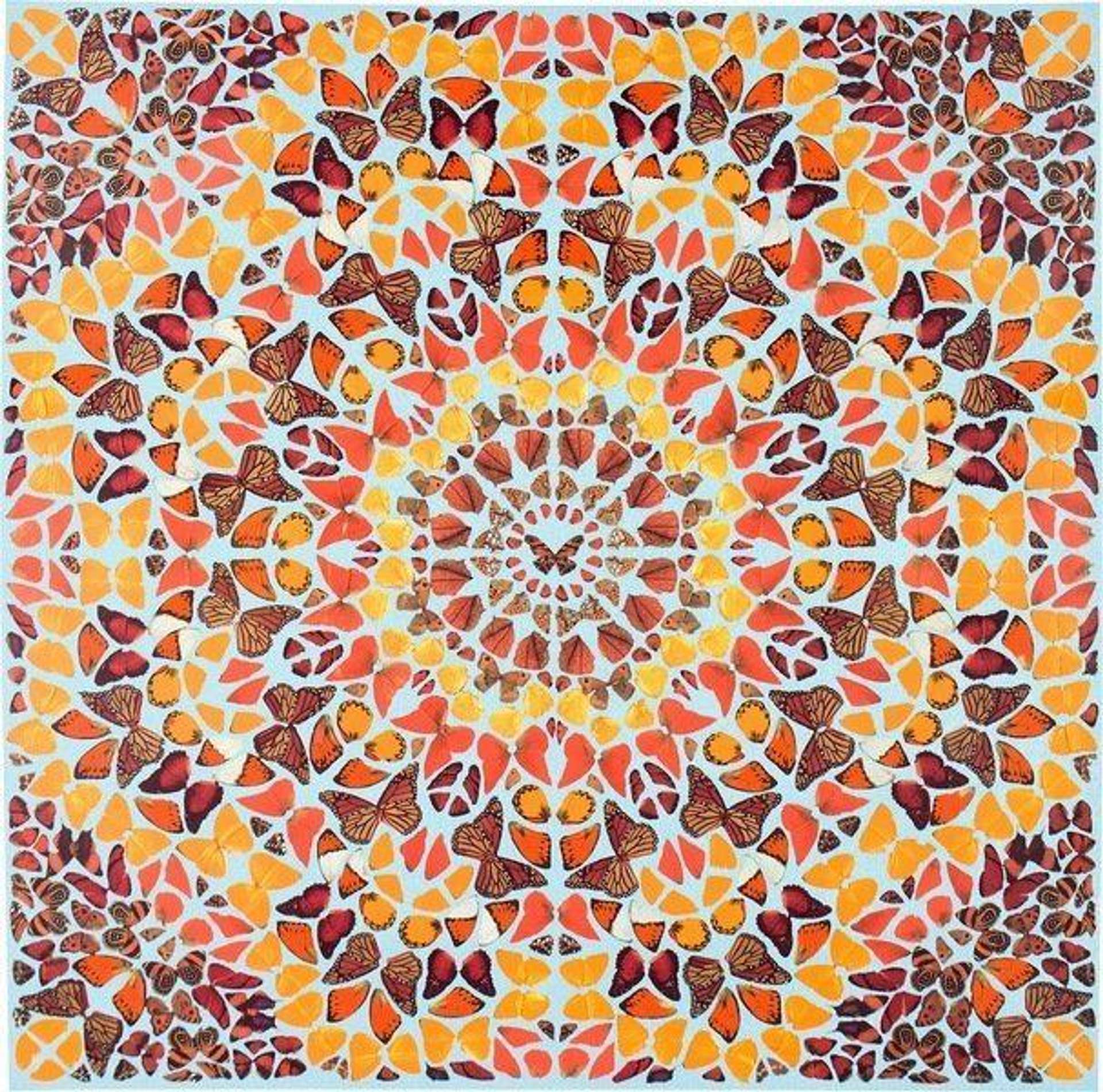 This print by Damien Hirst shows a mesmerising pattern of red, orange and brown butterflies. The autumnal colours used here by Hirst imbue the print with a sense of warmth, making it an inviting and visually appealing print. The intricate pattern is rendered on a square canvas and consists of concentric circles, with the butterflies emanating from a central red butterfly.