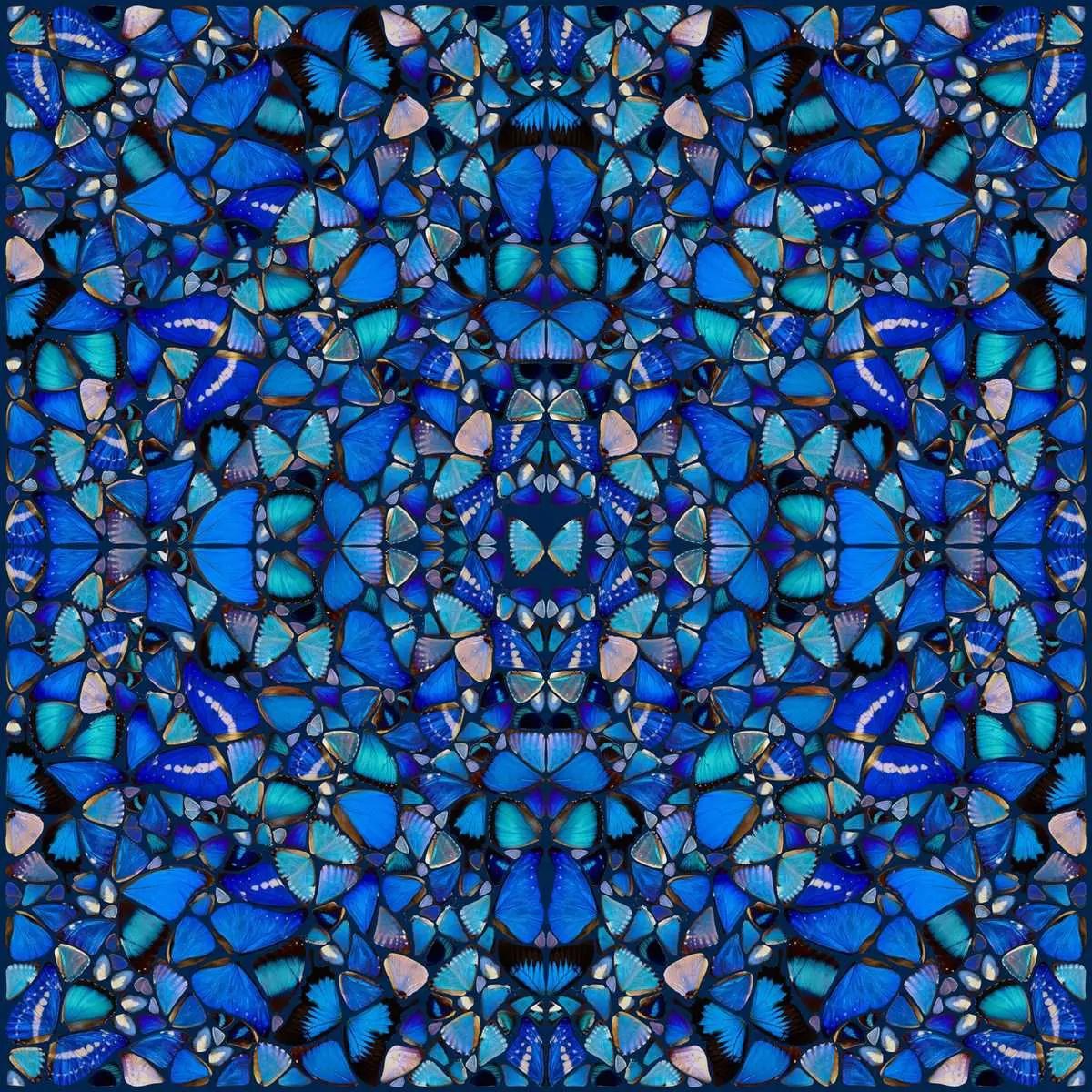 コレクション Damien Hirst post card 330: DAMIEN HIRST, Beautiful, Galactic, Exploding < Prints