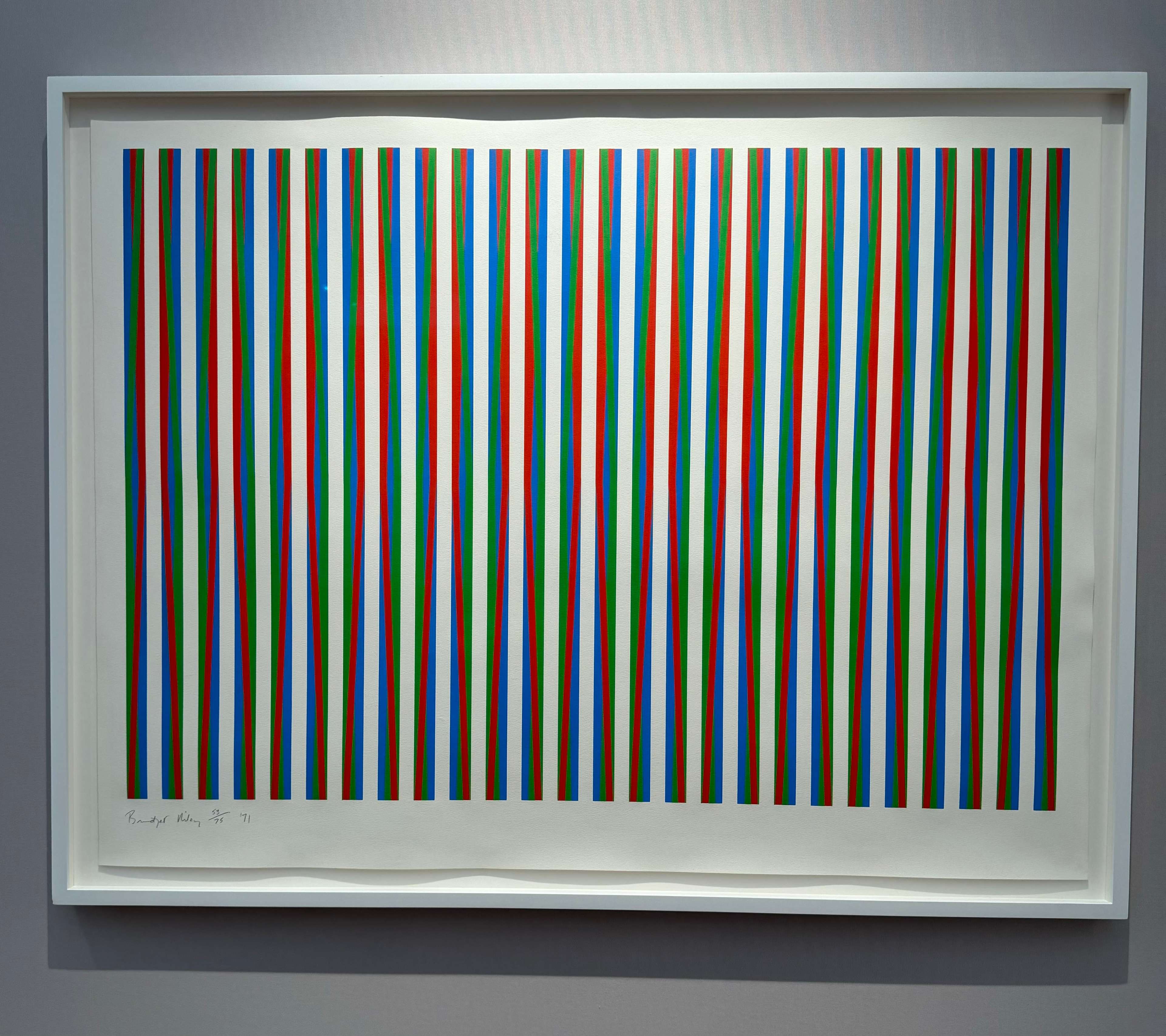 Firebird by Bridget Riley 