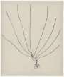 Louise Bourgeois: The Fragile 4 - Signed Print