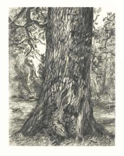 Lucian Freud: After Constable’s Elm - Signed Print