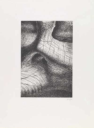 Elephant Skull X - Signed Print by Henry Moore 1970 - MyArtBroker