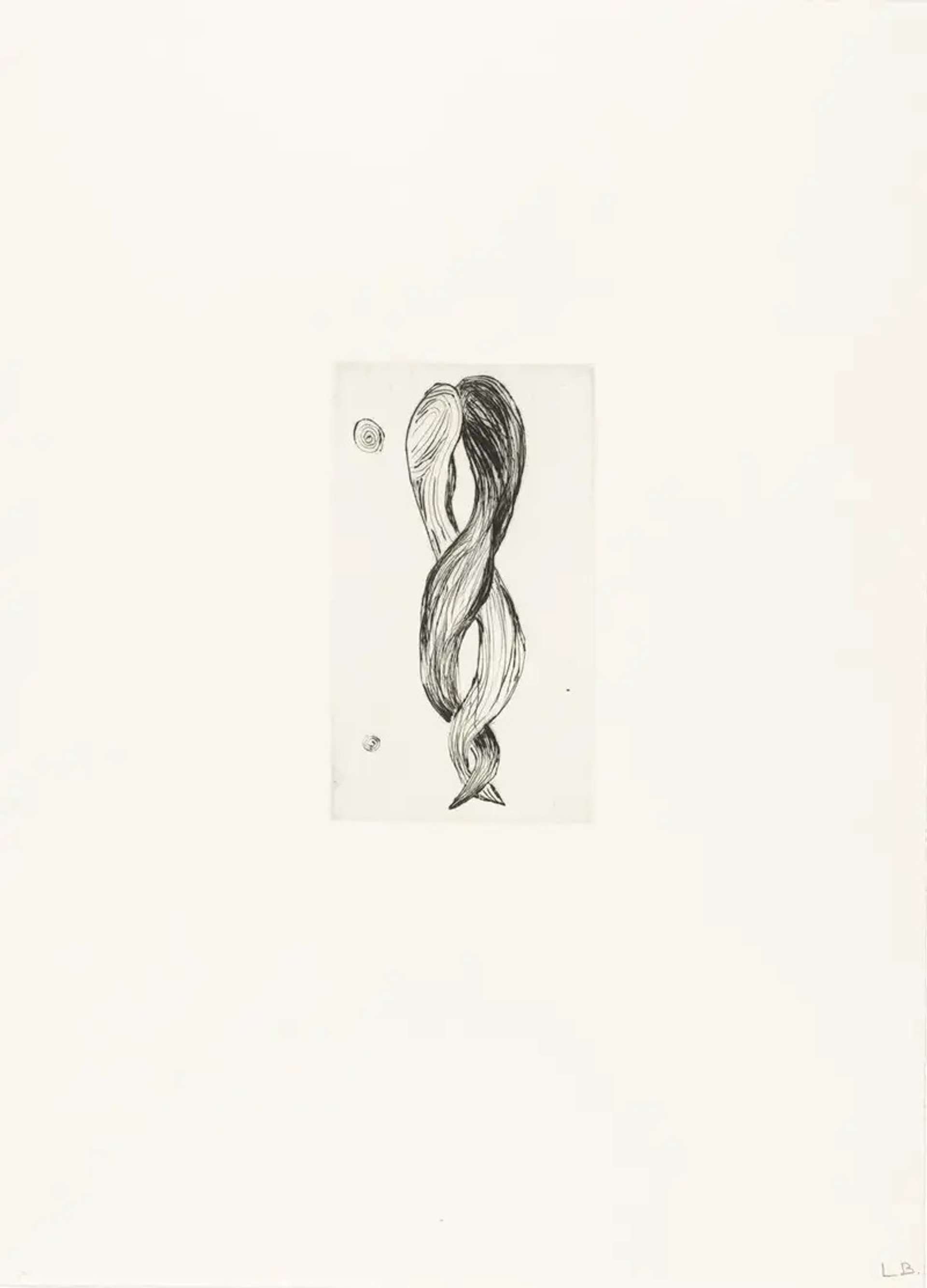 Louise Bourgeois Untitled No. 3. A monochromatic etching of an anatomical depiction of braided hair. 