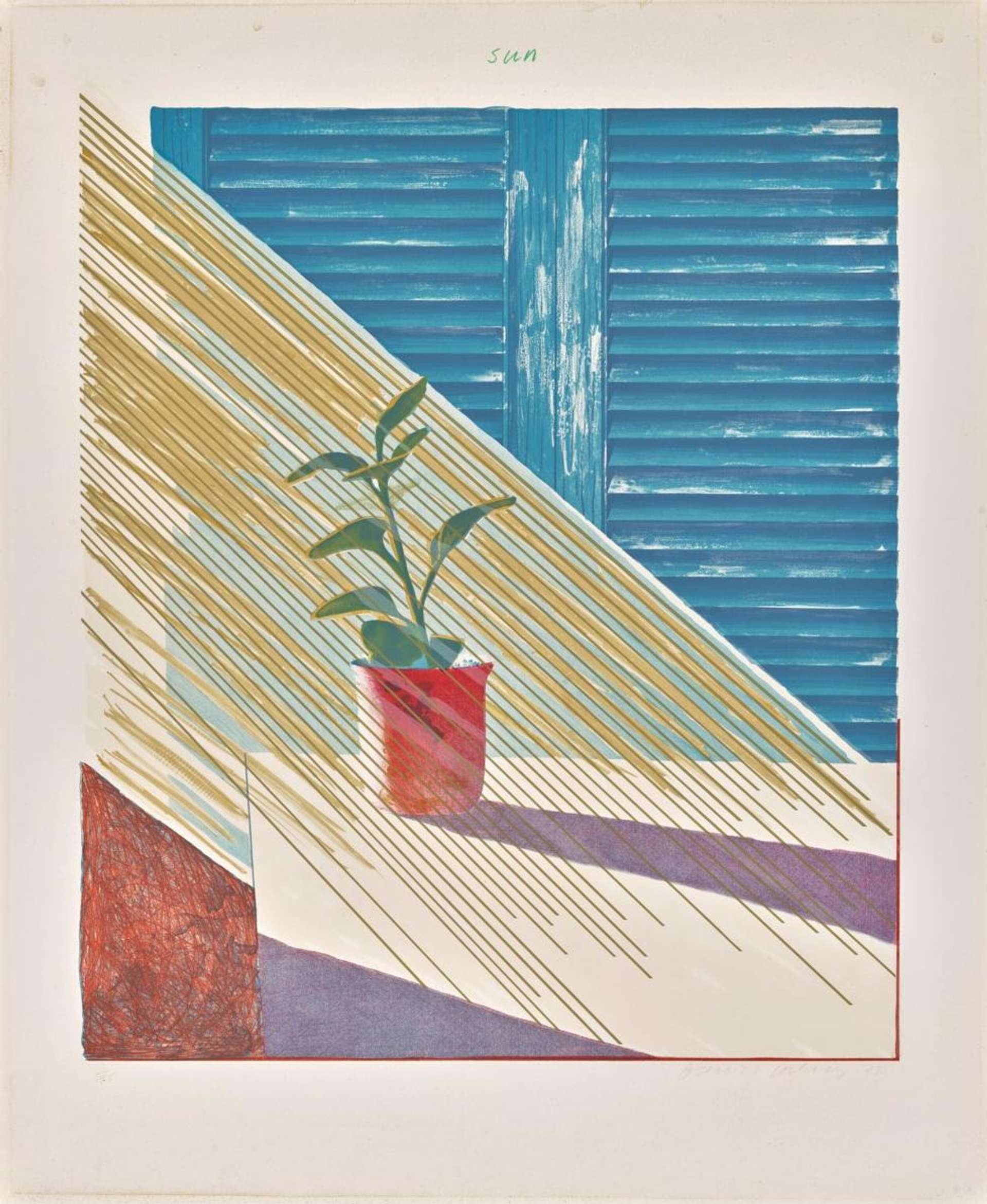David Hockney's Sun.  A woodblock print of a small plant on the edge of a table with sun light covering it from the left side.