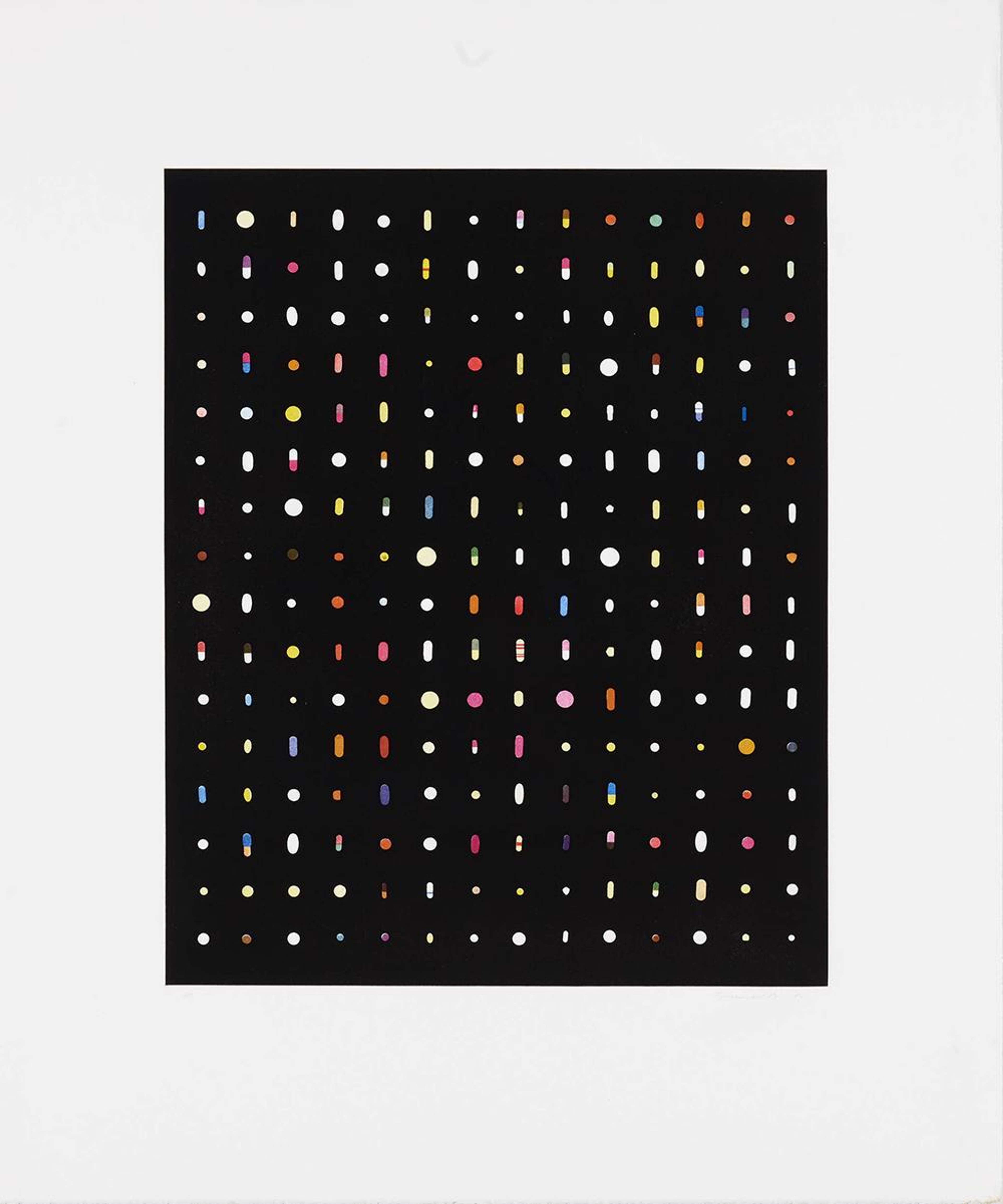 16 x 14 To The Highest Power - Signed Print by Fred Tomaselli 1998 - MyArtBroker