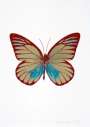 Damien Hirst: The Souls I (grafix gold, topaz, chilli red) - Signed Print