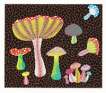 Toadstools - Signed Print