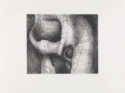 Elephant Skull XIX - Signed Print by Henry Moore 1969 - MyArtBroker
