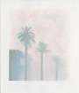 David Hockney: Mist - Signed Print