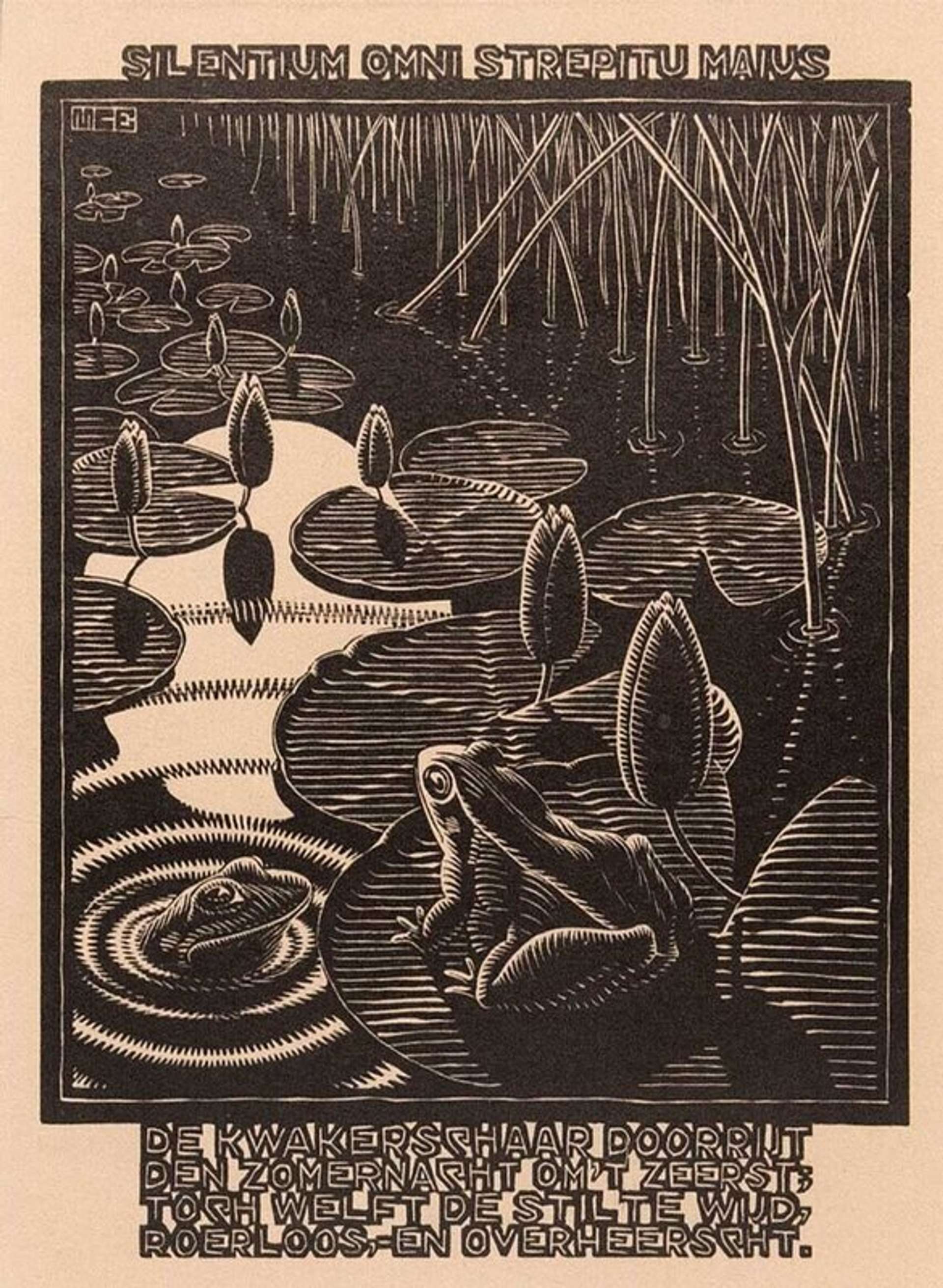 Frog - Signed Print by M. C. Escher 1932 - MyArtBroker