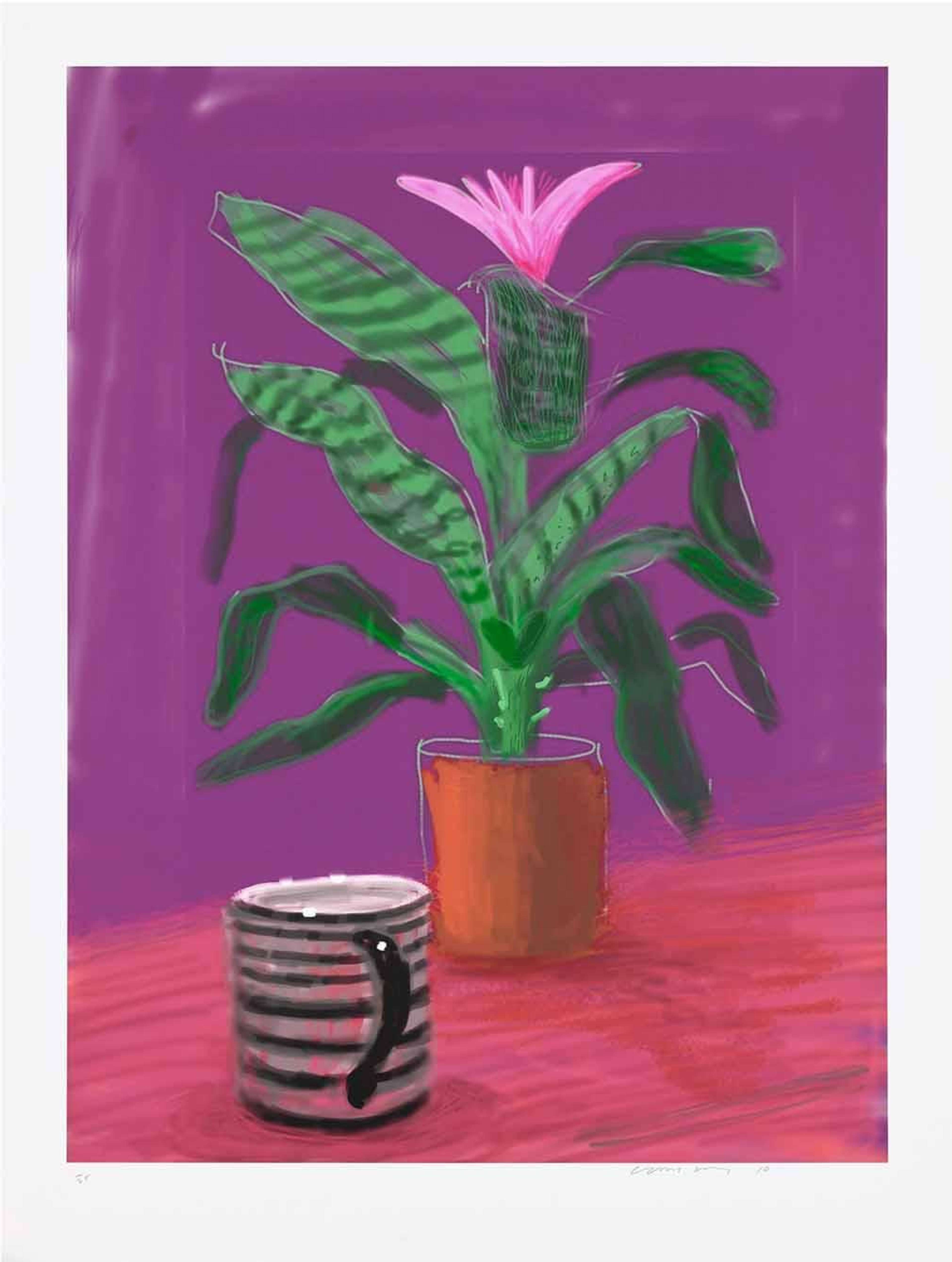 David Hockney’s Untitled No. 224. A digital print of a black and white striped coffee mug in front of a plant with a blooming pink flower.
