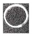 Enso Facing The Pitch Black Void - Signed Print