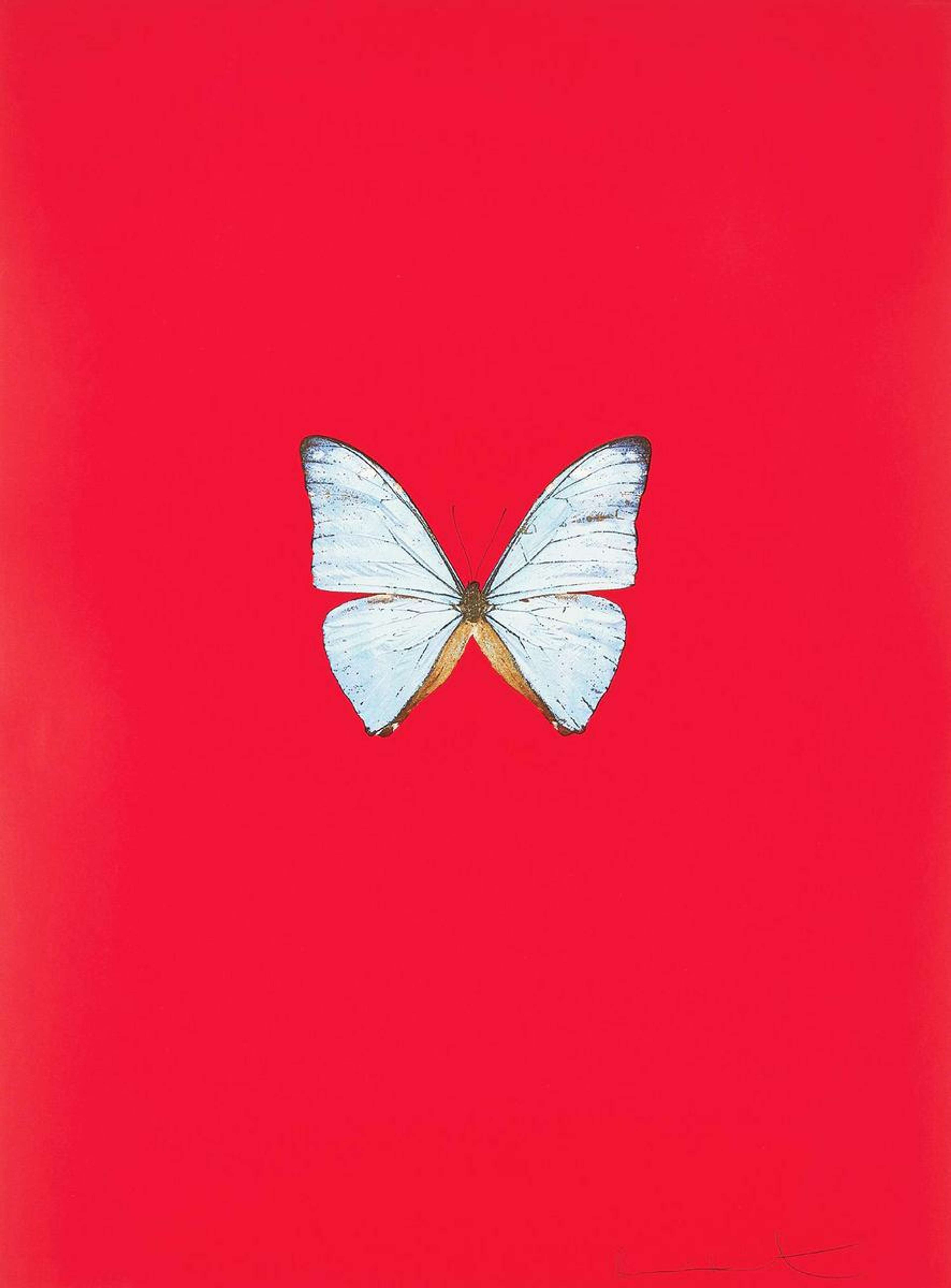 New Beginnings 6 - Signed Print by Damien Hirst 2011 - MyArtBroker