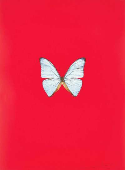 Damien Hirst: New Beginnings 6 - Signed Print