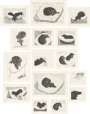 David Hockney: Dog Wall (complete set) - Signed Print