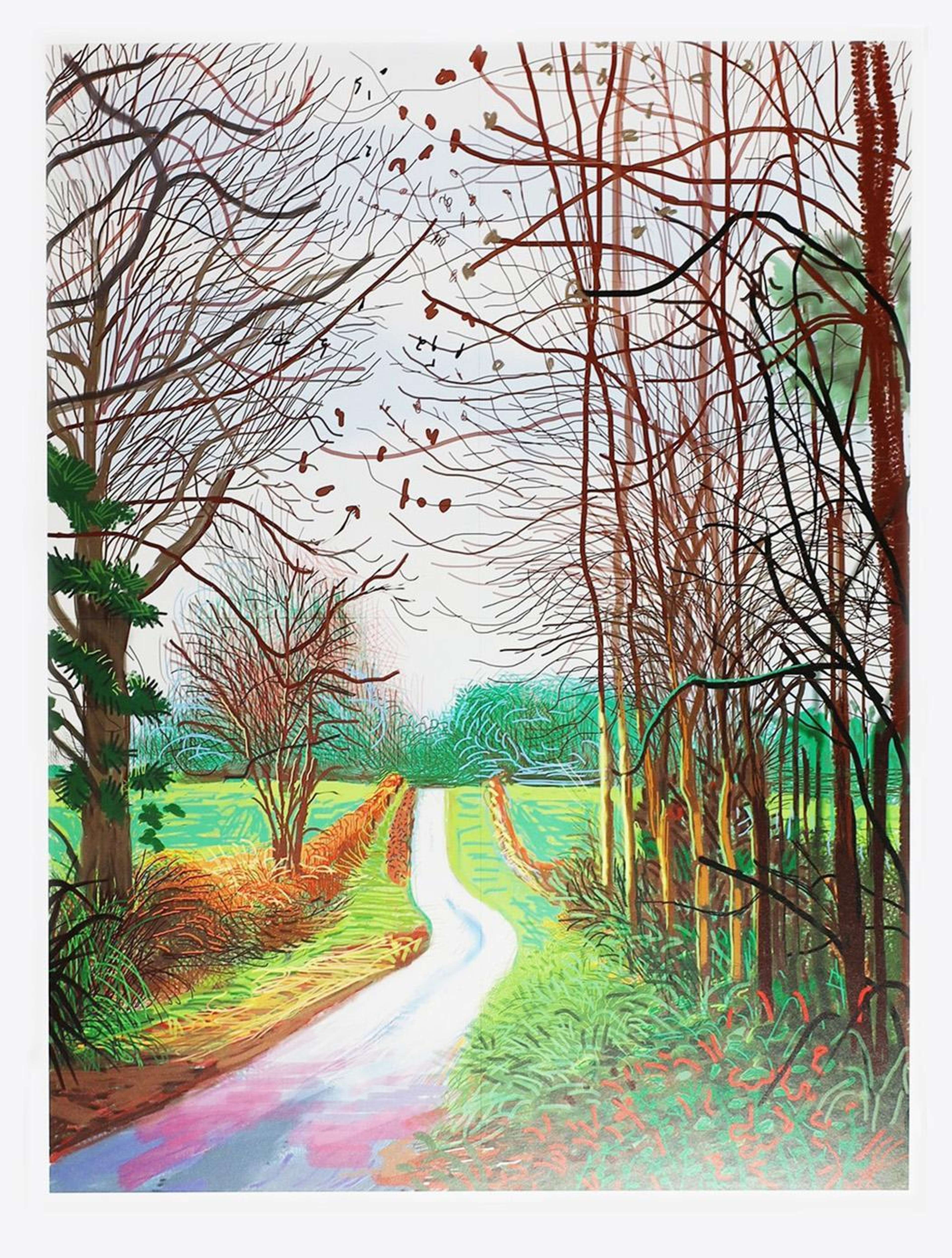 The Arrival Of Spring In Woldgate, East Yorkshire In 2011 (twenty eleven) - 29 December, No. 1 - Signed Print by David Hockney 2011 - MyArtBroker
