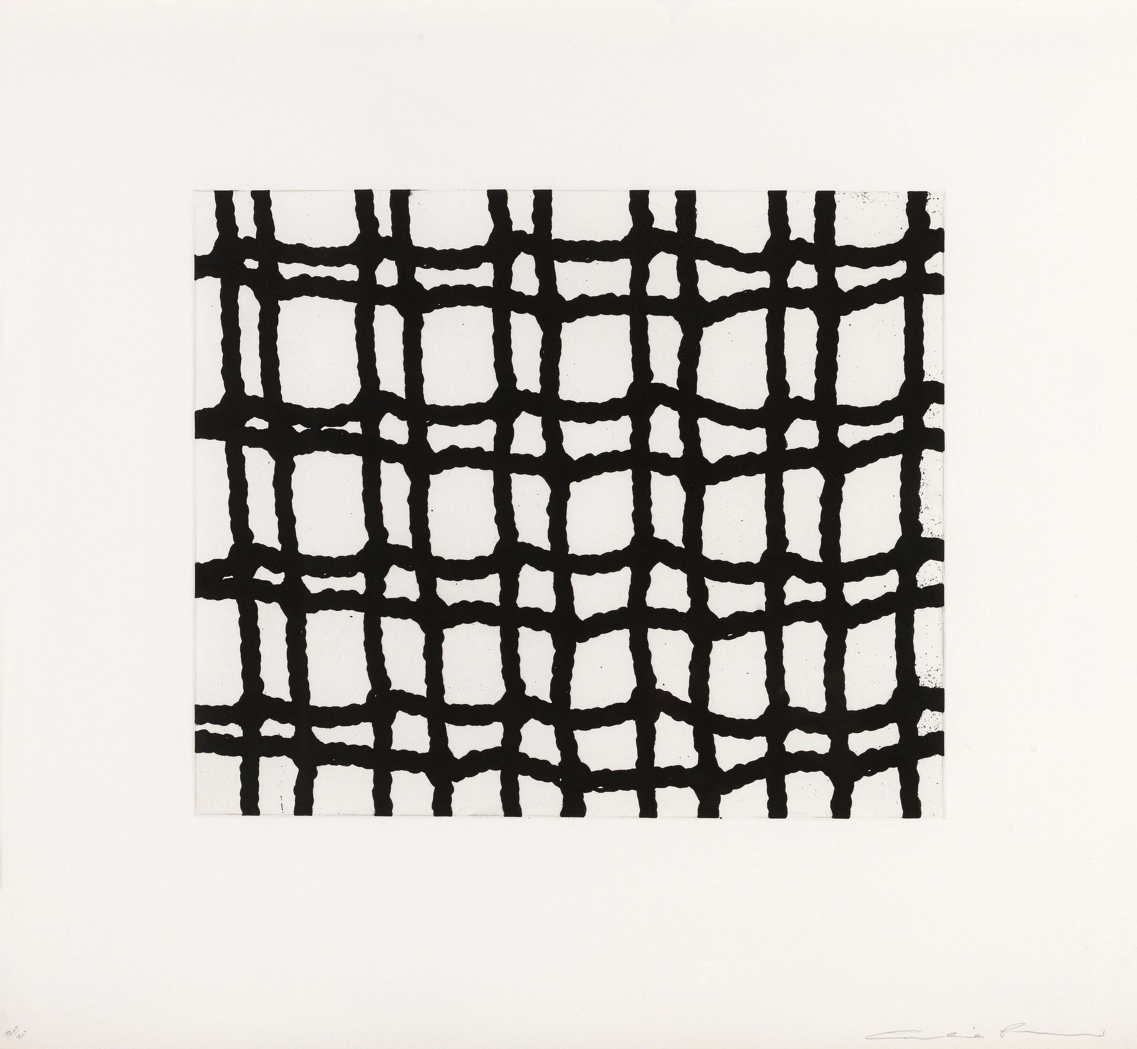 Worry Lines 2 - Signed Print by Cornelia Parker 2008 - MyArtBroker