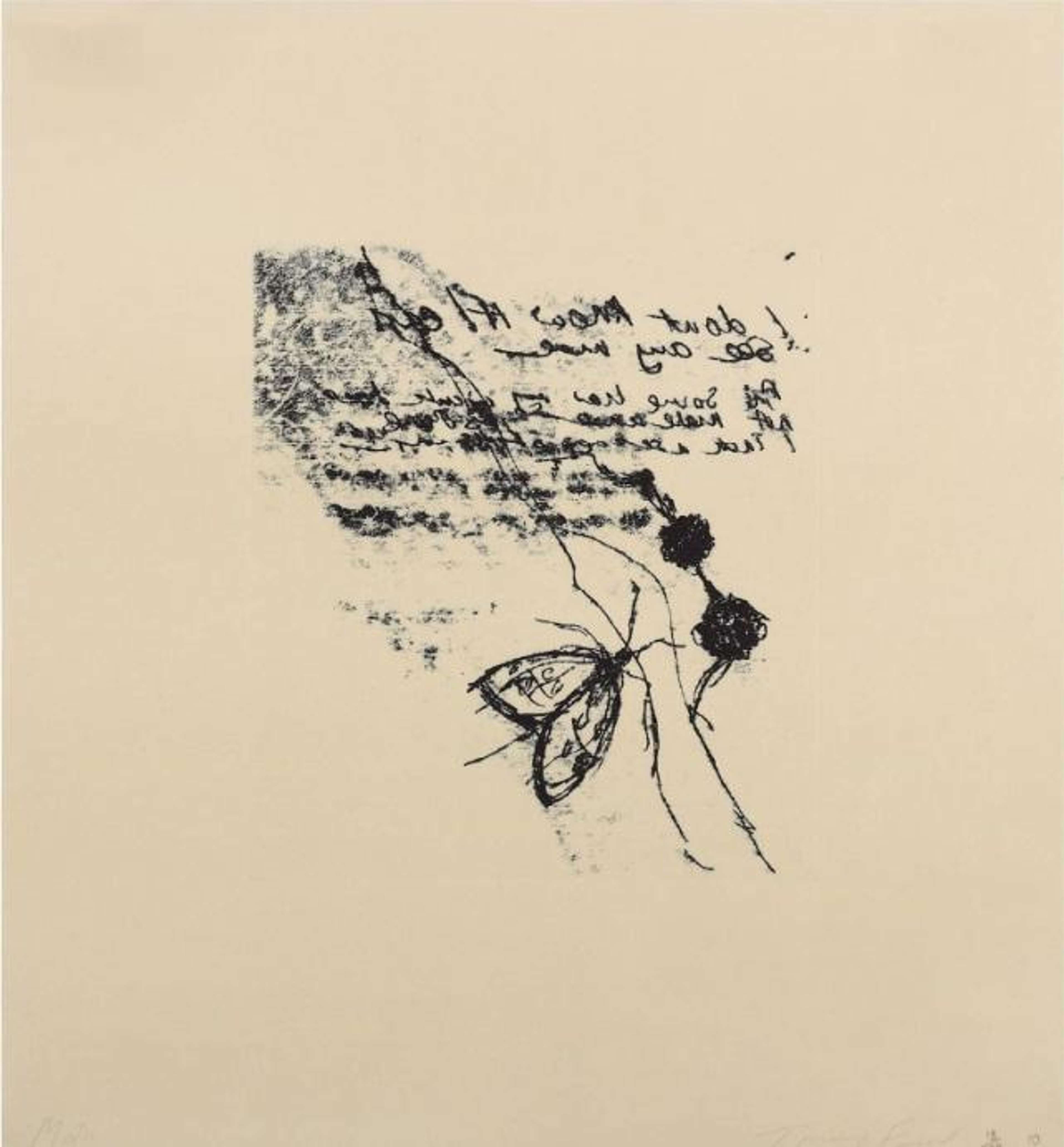 Moth - Signed Print