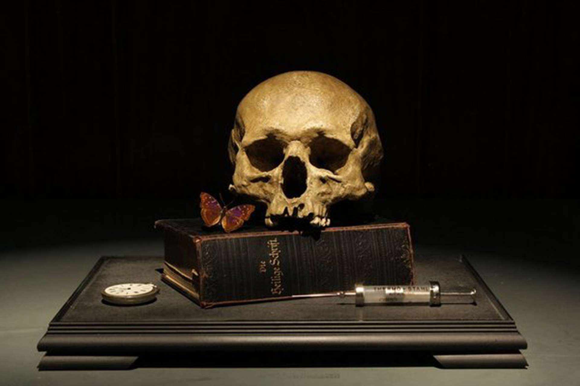 Dr. Viktor Schroeder Memento Mori with Helige Schrift © Connor Brothers 2013 (Photo © Museum of Curiosity) 