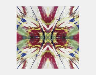 Damien Hirst: H1-1 Enter The Infinite - Revelation - Tapestry
