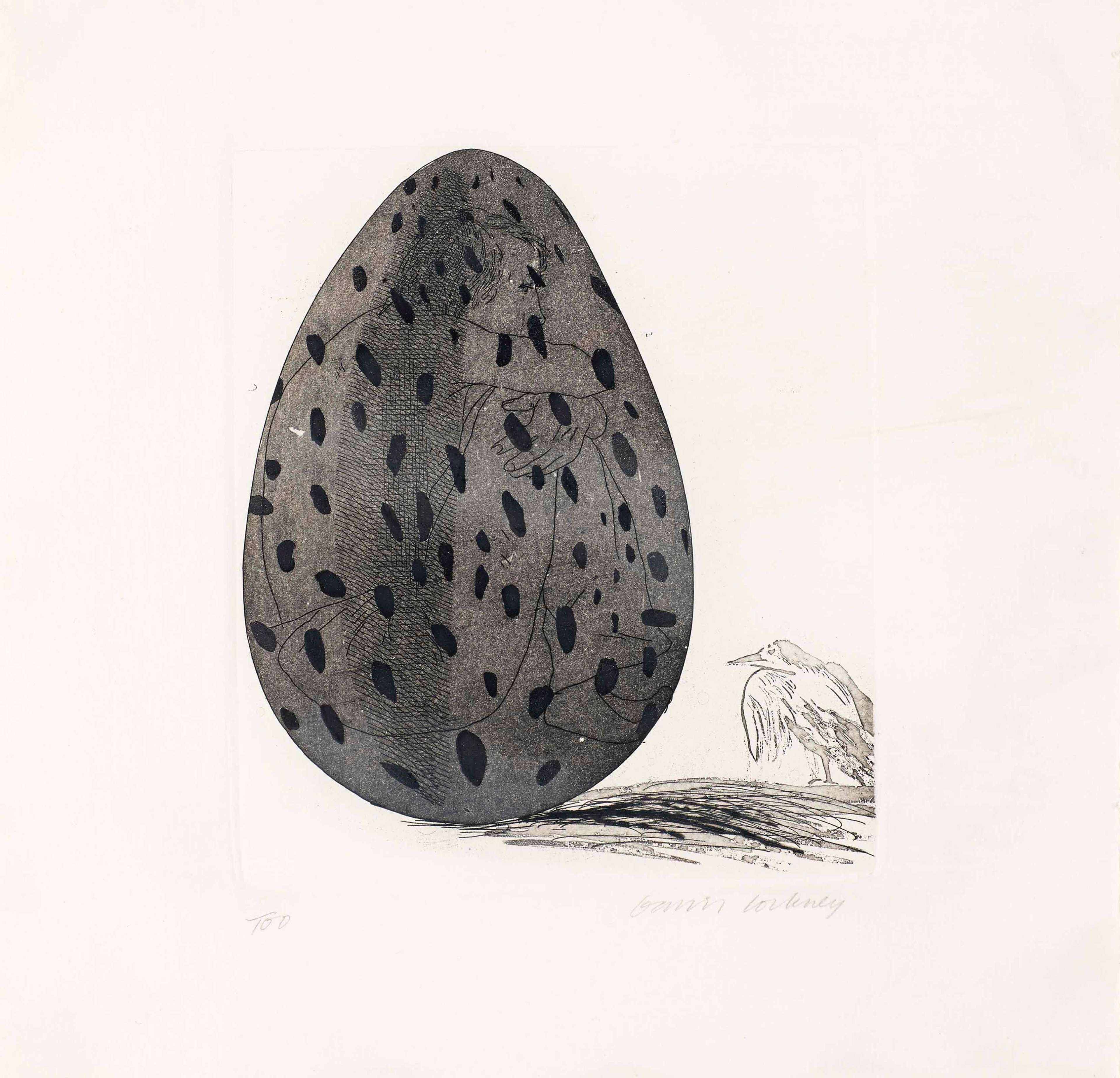 David Hockney’s The Boy Hidden In An Egg. An etching of a faint outline of a boy curled up inside a spotted egg with a bird to the lower right of the egg.