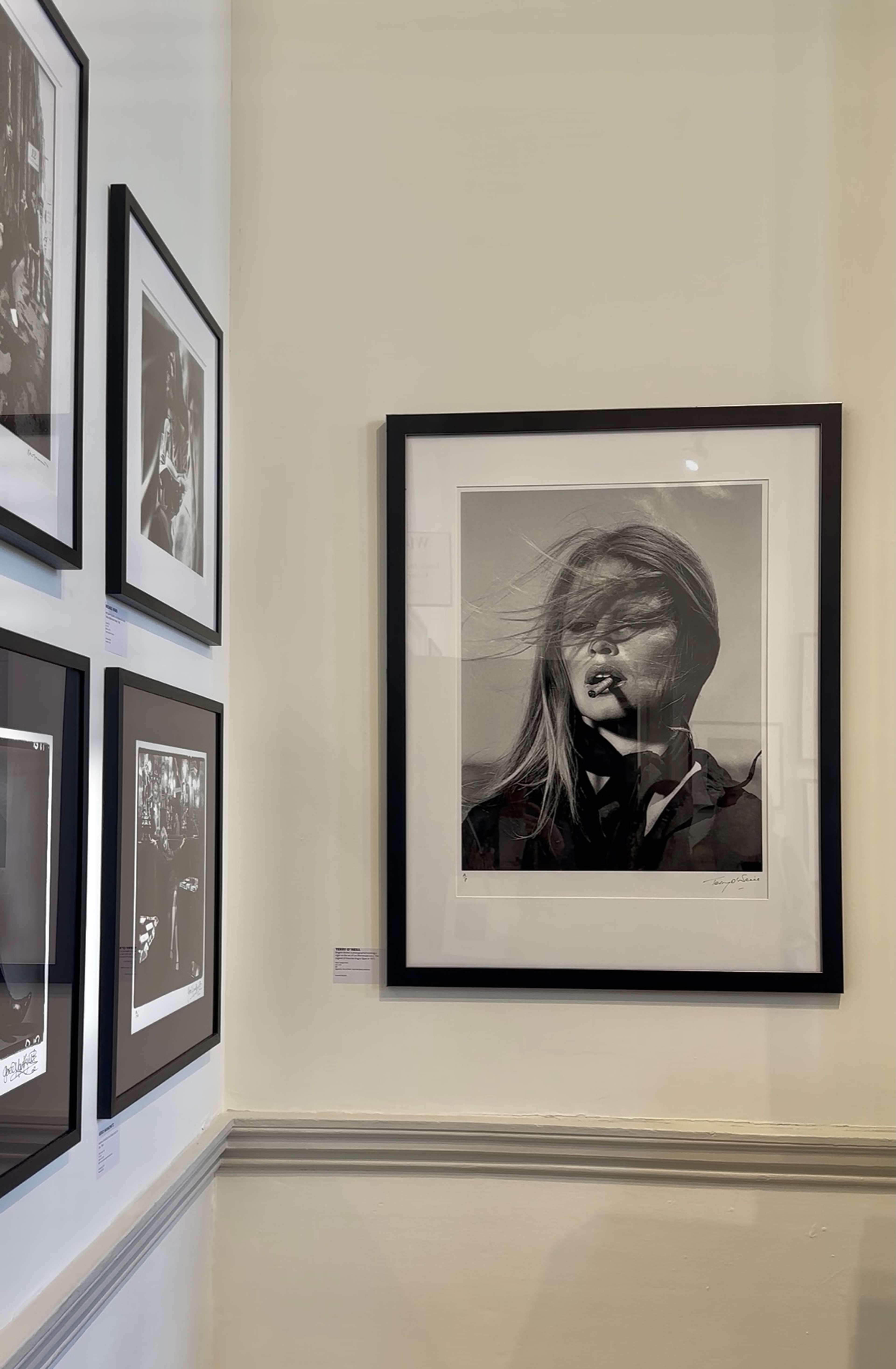 An installation view featuring Bardot and Cigar