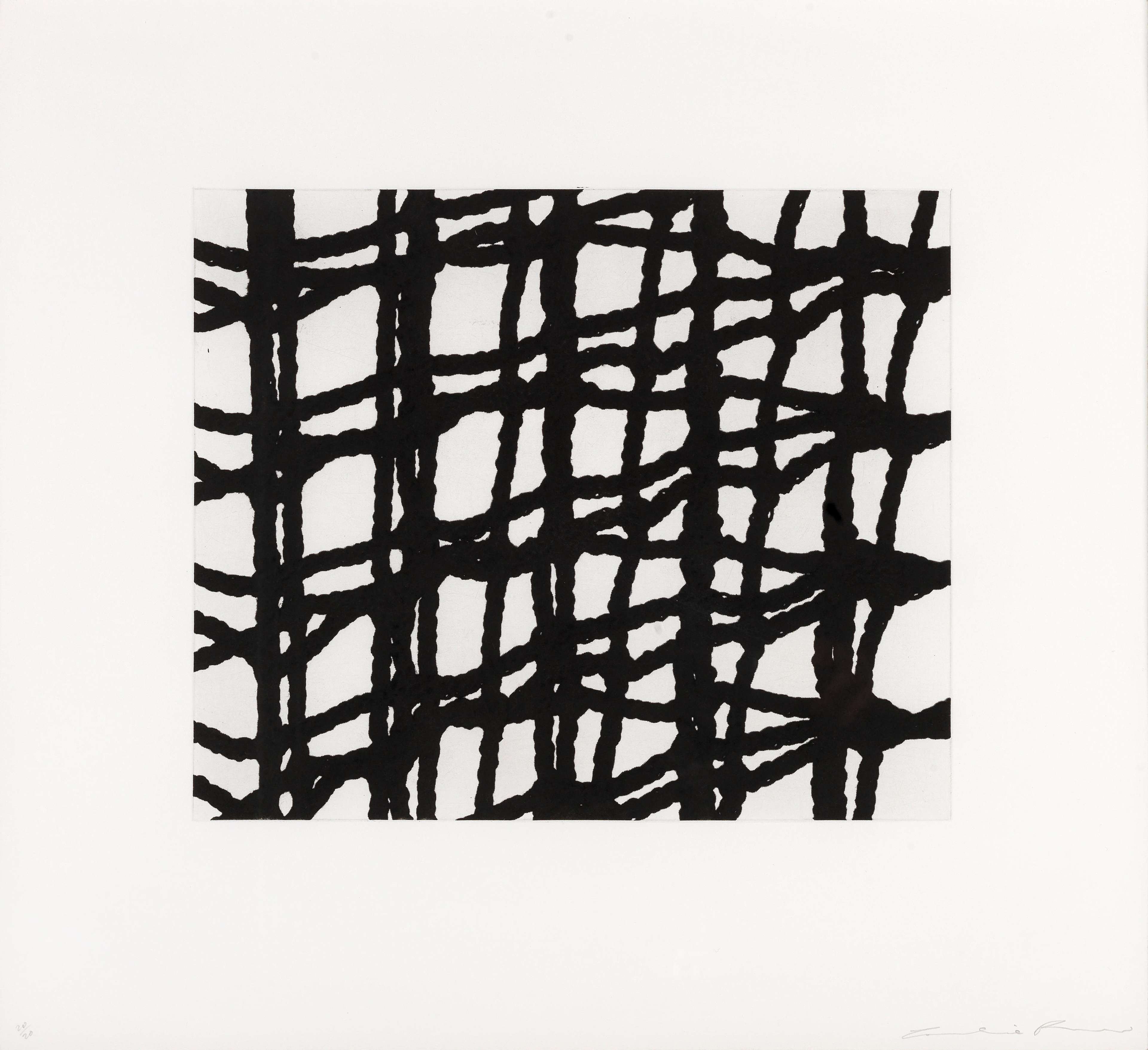 Worry Lines 8 - Signed Print by Cornelia Parker 2008 - MyArtBroker