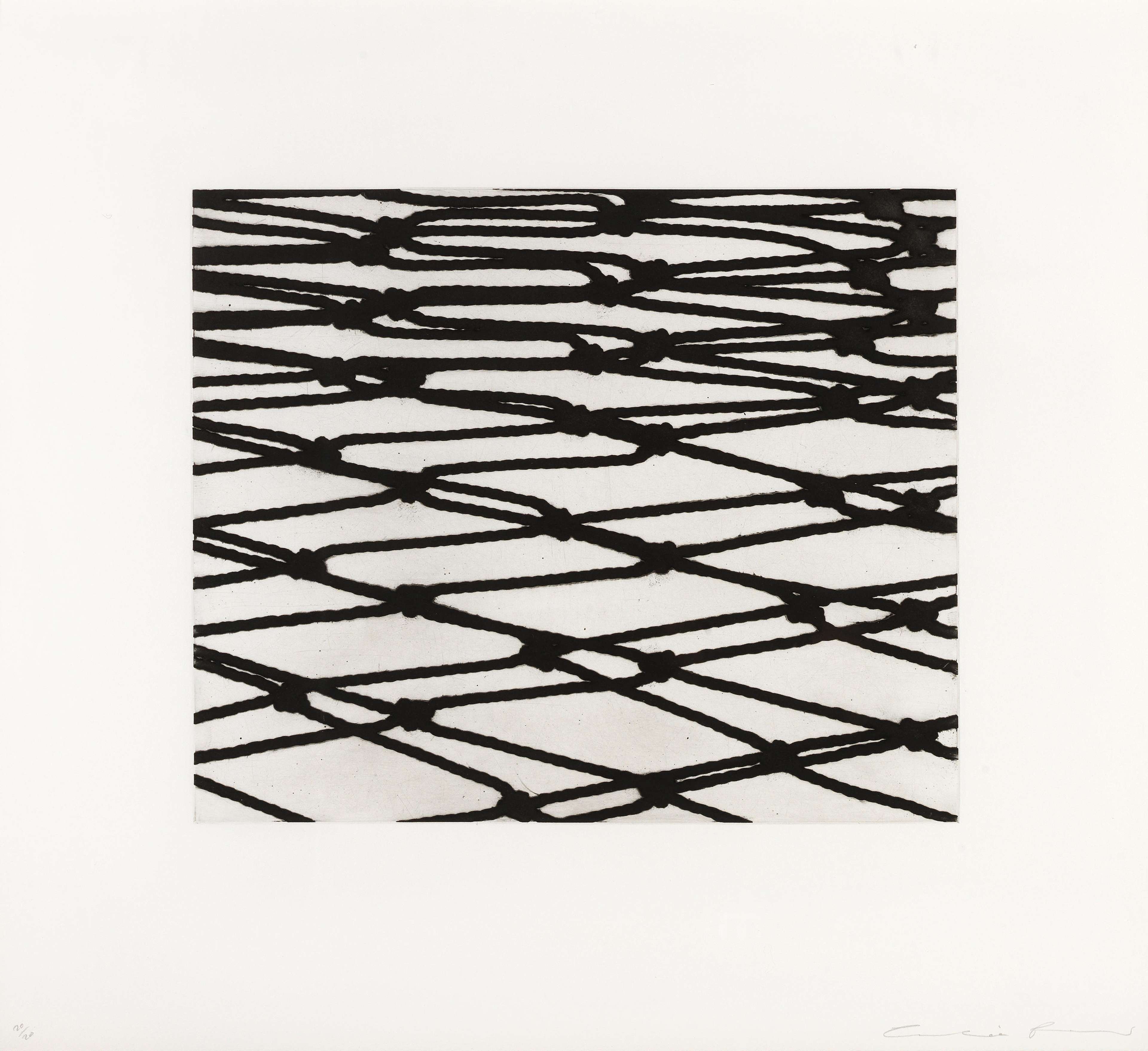 Worry Lines 4 - Signed Print by Cornelia Parker 2008 - MyArtBroker