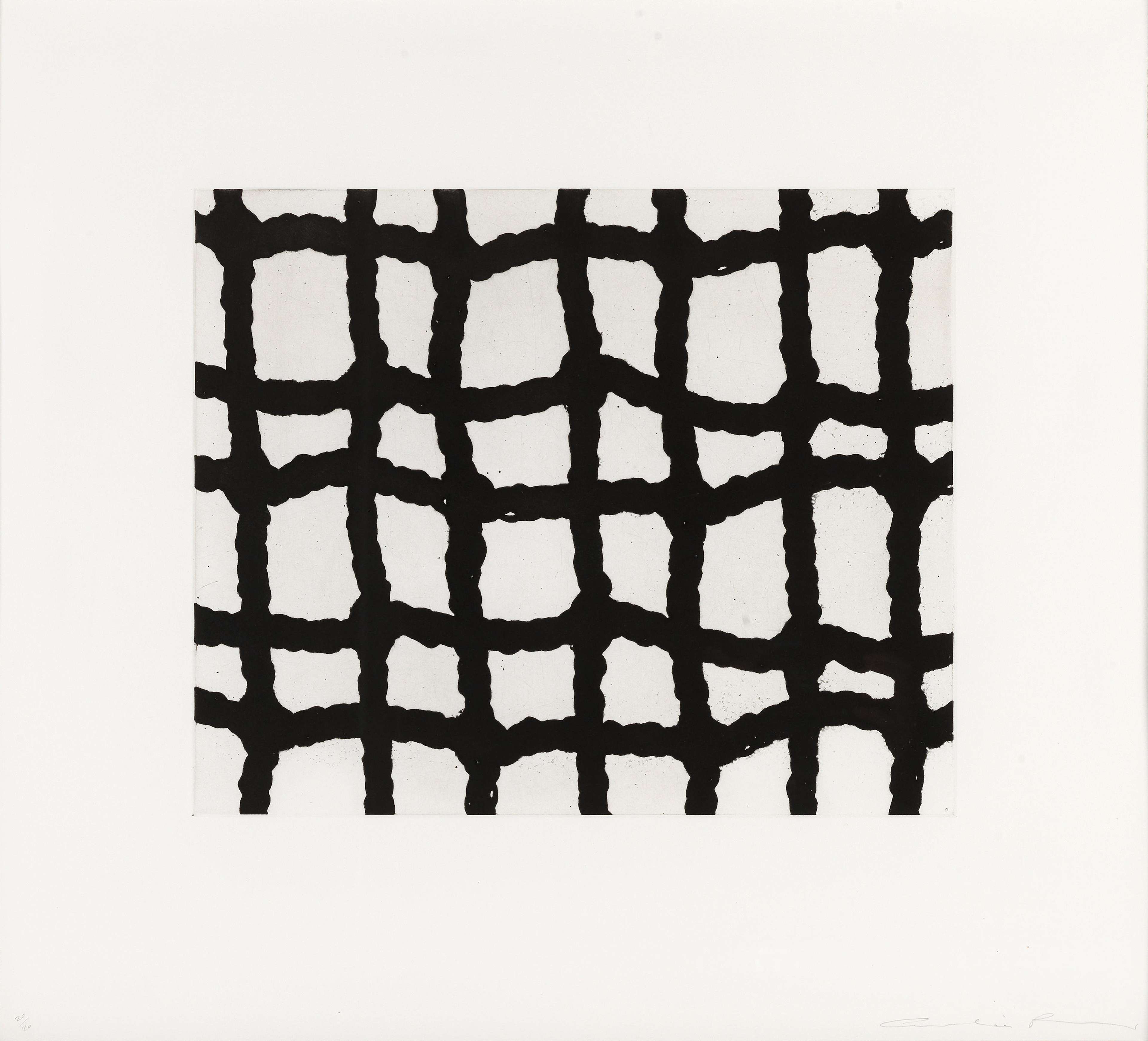 Worry Lines 5 - Signed Print by Cornelia Parker 2008 - MyArtBroker