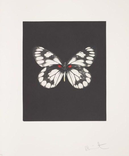 Damian Hirst アートブック(ポスター2枚付) Damian Hirst アートブック(ポスター2枚付) Damian Hirst アート