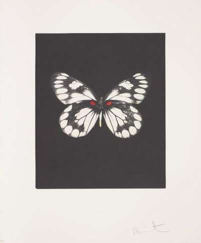 Damien Hirst: Regeneration - Signed Print