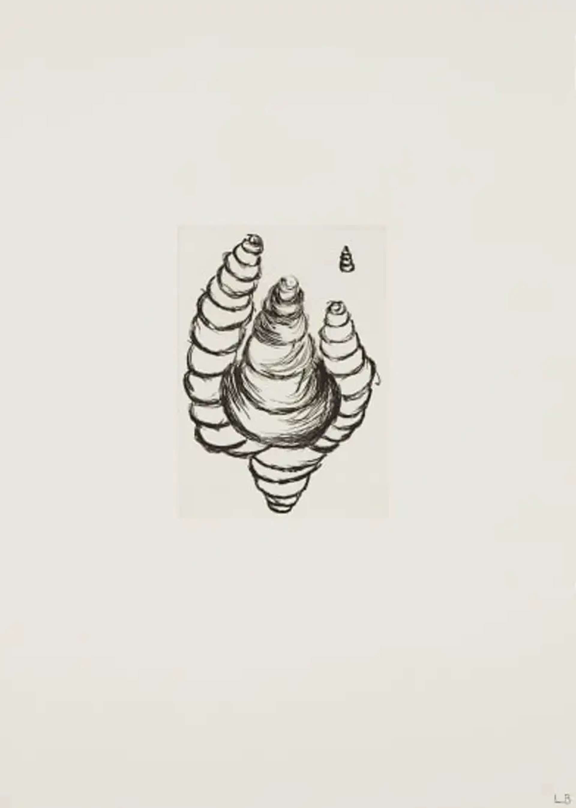 Louise Bourgeois Untitled No. 12. A monochromatic etching of an anatomical depiction of black swirls in a vertical pattern resembling cones.
