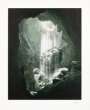 Daniel Arsham: Grotto Of Laocoon - Signed Print
