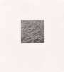 Vija Celmins: Untitled (Wood Engraving) - Signed Print