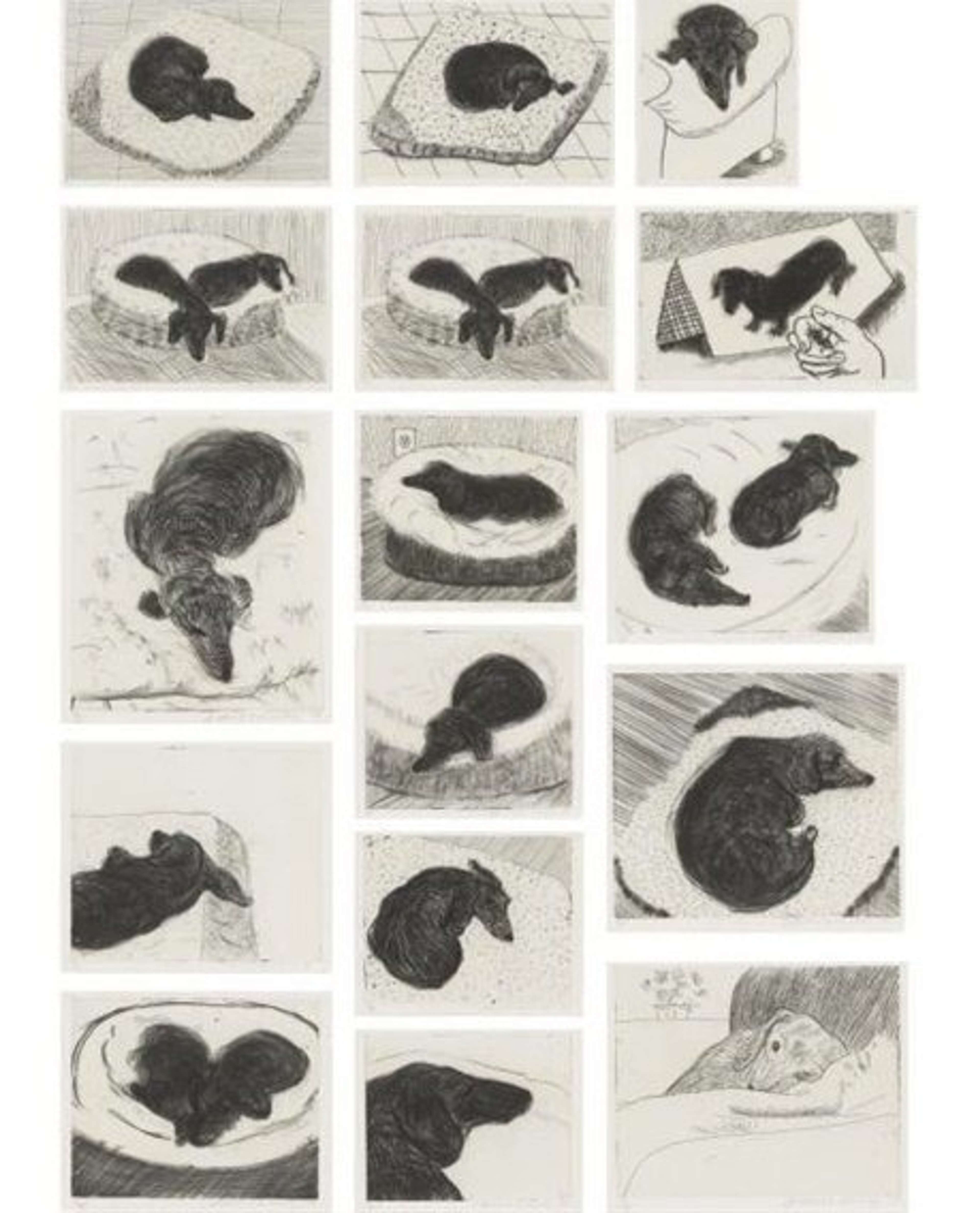 A grid of fifteen etchings portraying Stanley and Boodgie in varied poses, displayed together as a cohesive series.