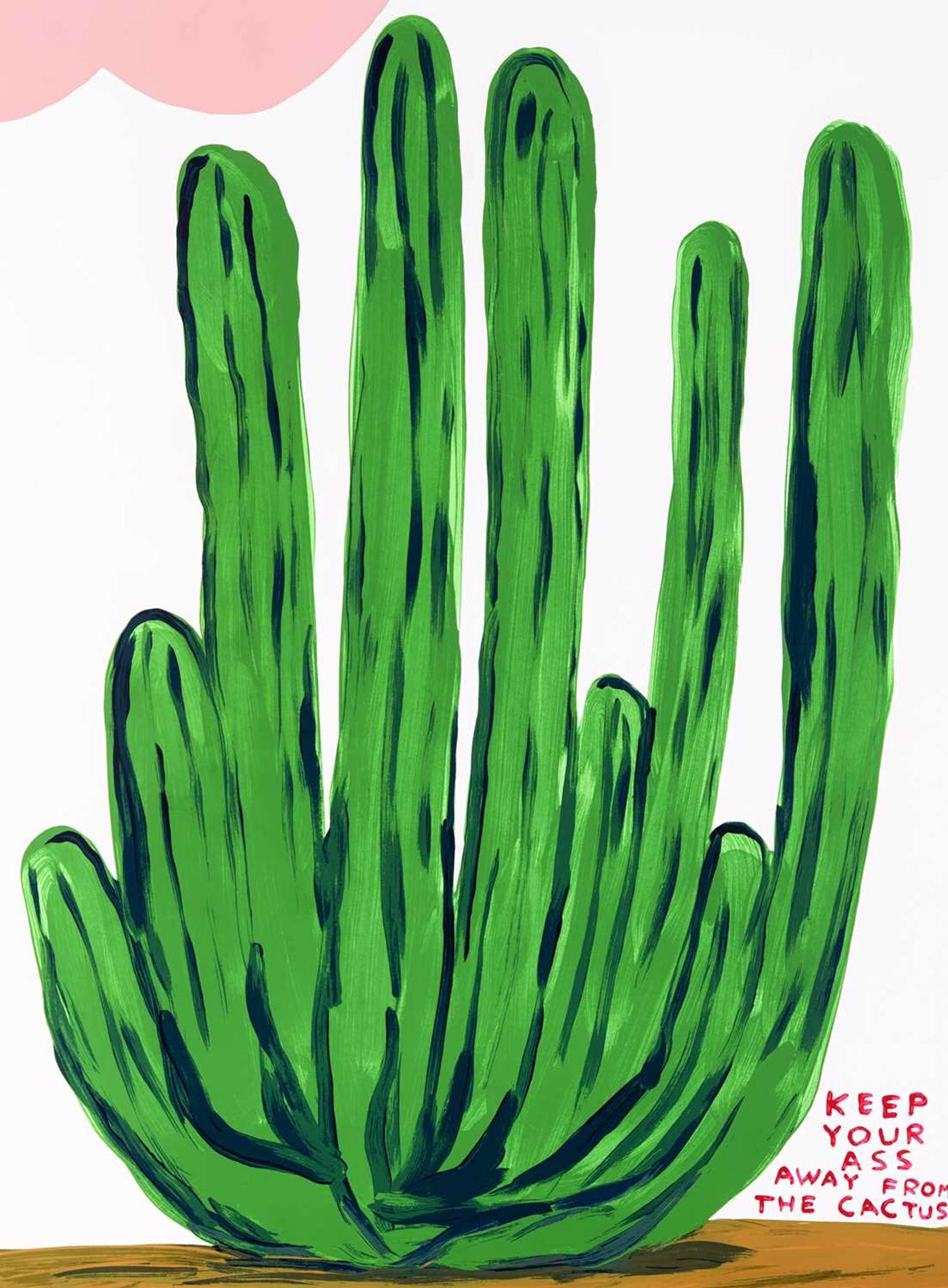 Keep Your Ass Away From The Cactus - Signed Print by David Shrigley 2020 - MyArtBroker