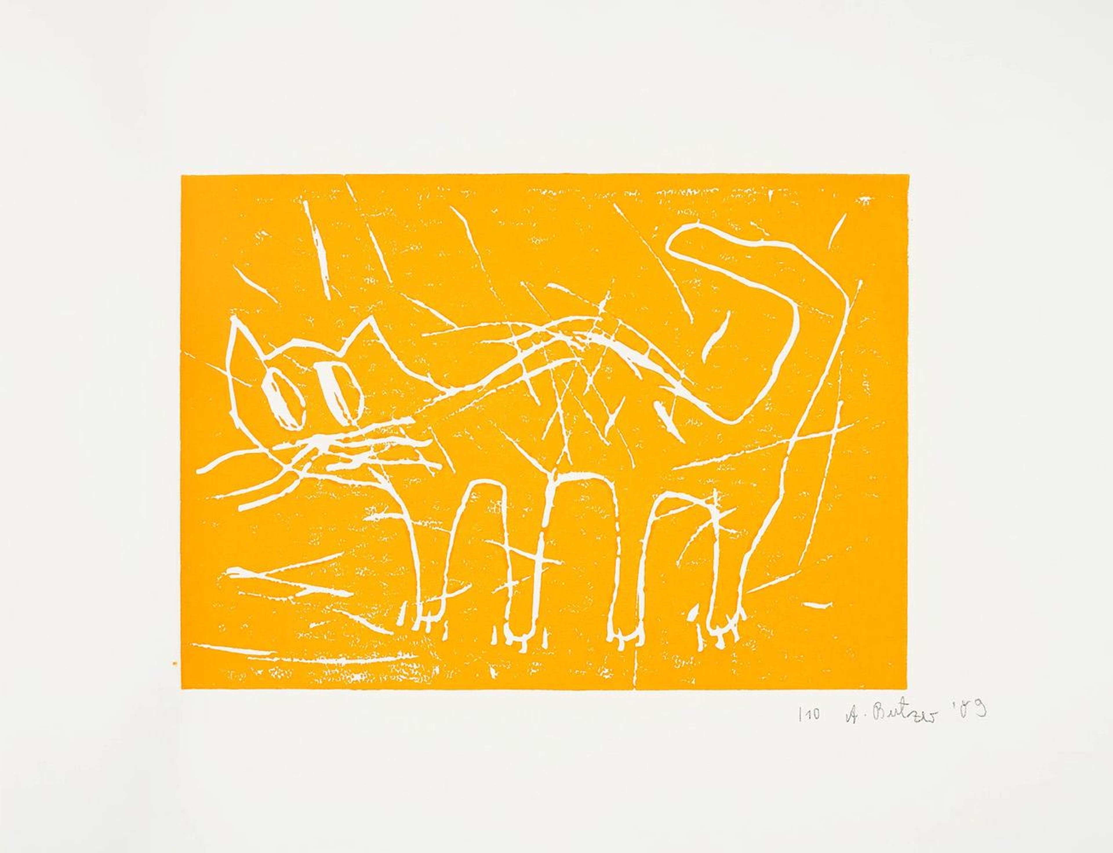 Katze (orange) - Signed Print by Andre Butzer 2009 - MyArtBroker