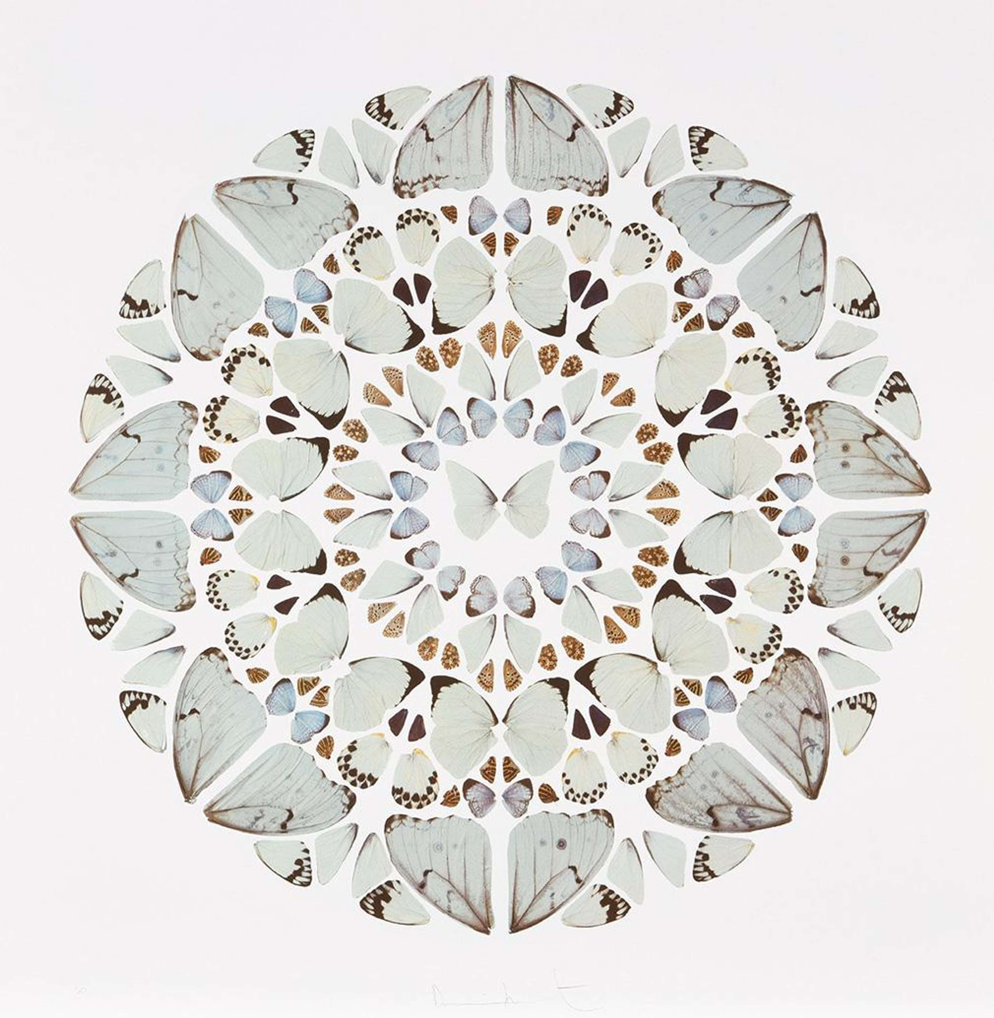 Exaudi Domine - Signed Print by Damien Hirst 2009 - MyArtBroker