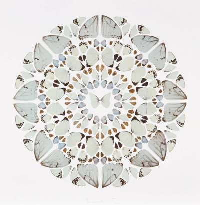 Exaudi Domine - Signed Print by Damien Hirst 2009 - MyArtBroker