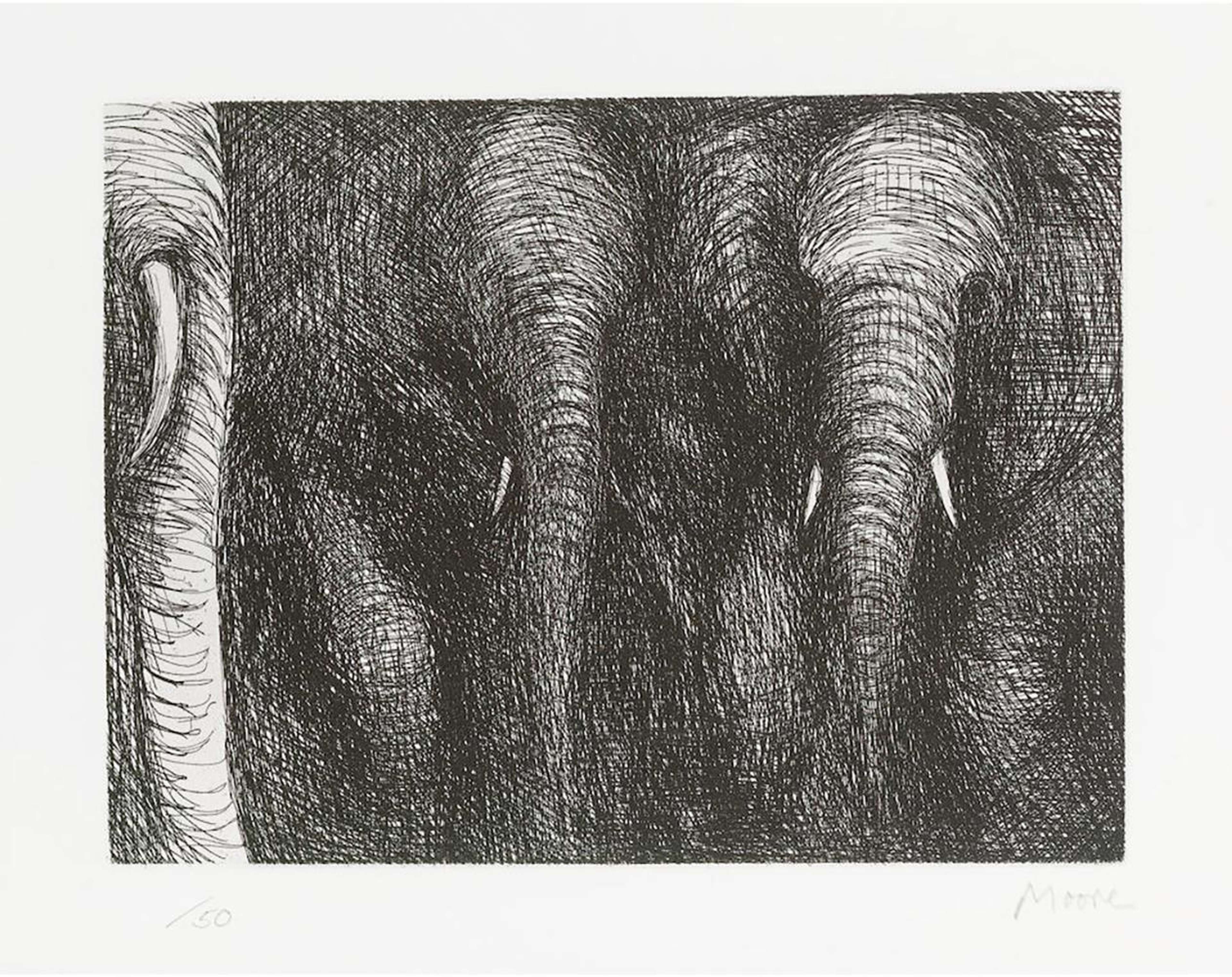 Elephants - Signed Print by Henry Moore 1979 - MyArtBroker