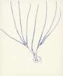 Louise Bourgeois: The Fragile 21 - Signed Print