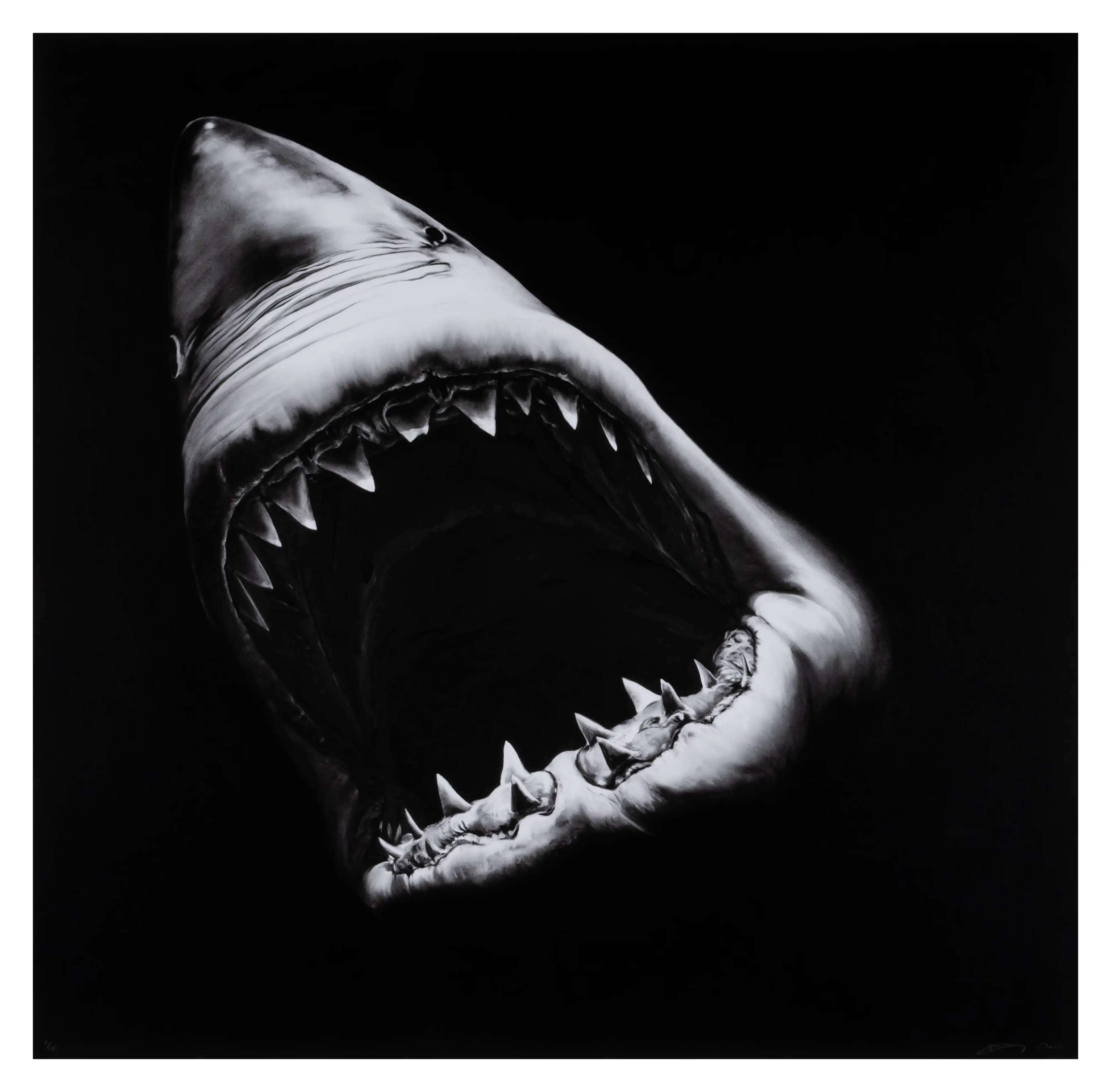 Untitled (Shark) - Signed Print by Robert Longo 2010 - MyArtBroker