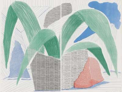 Green Grey Blue Plant July - Signed Print by David Hockney 1986 - MyArtBroker