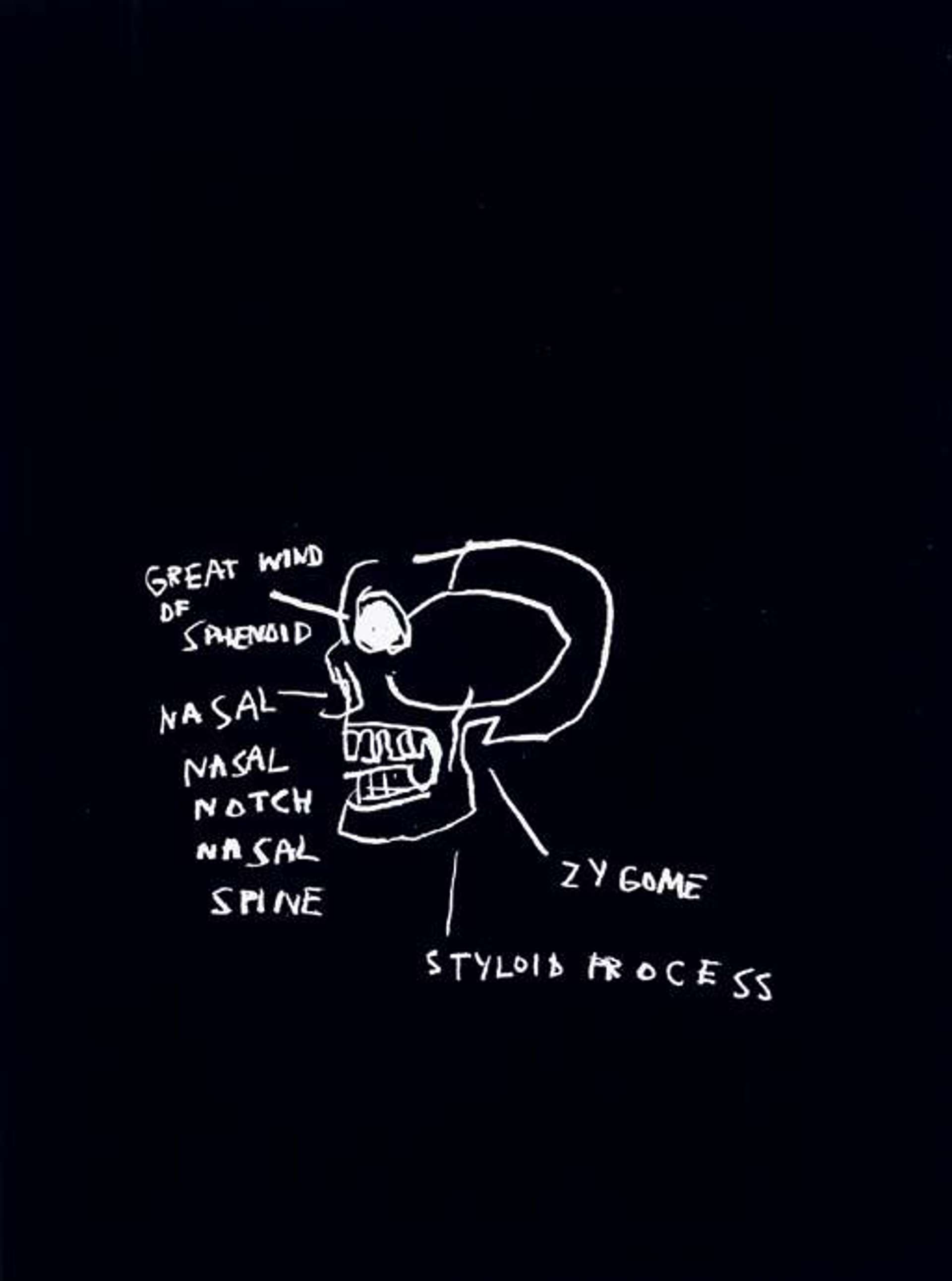 Jean-Michel Basquiat’s Anatomy, Great Wind Of Sphenoid. A black screenprint featuring white anatomical drawings of a human skull and sinuses with descriptive labels.
