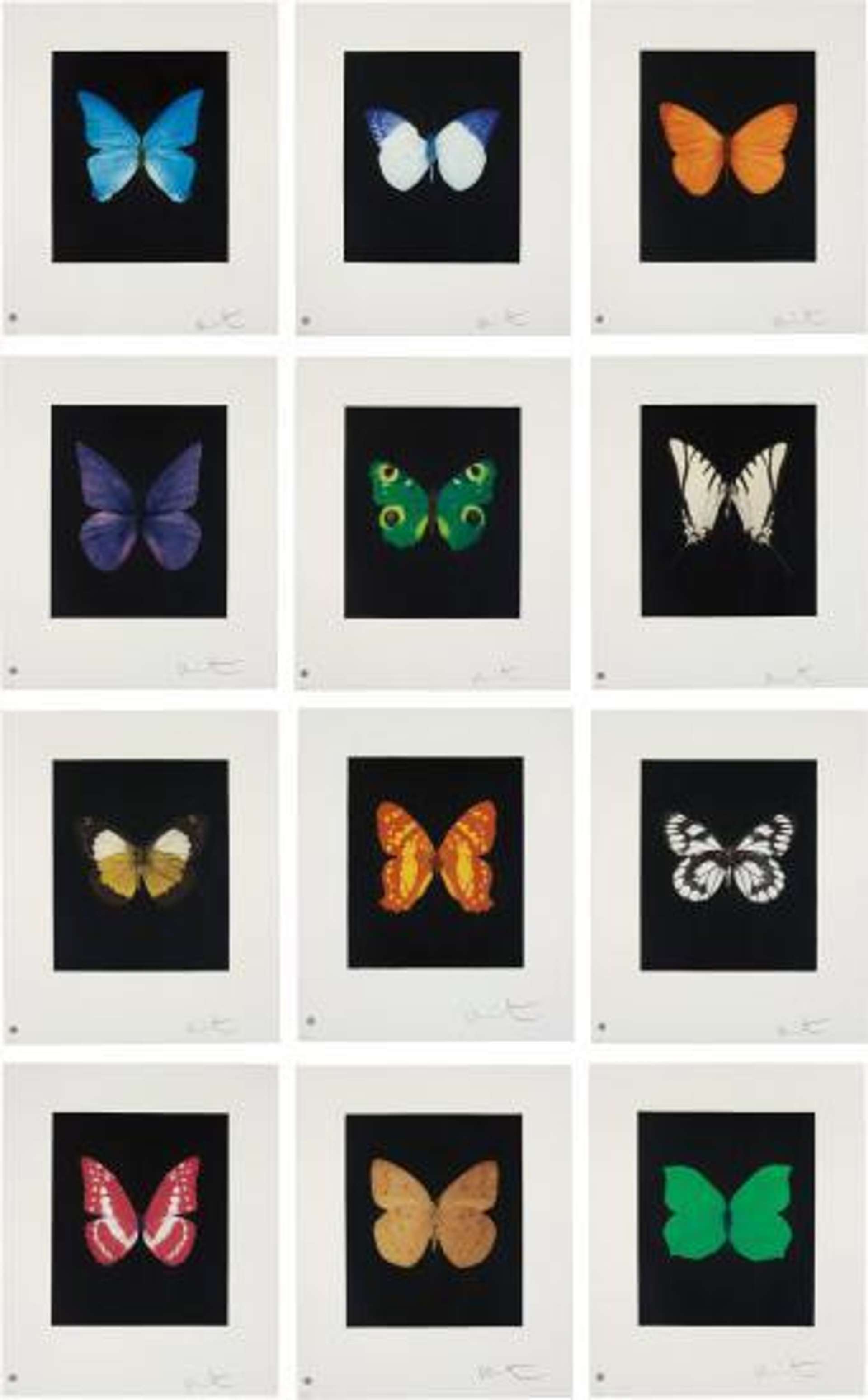 Damien Hirst: Butterfly Etching (complete set) - Signed Print