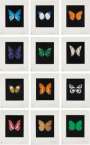 Damien Hirst: Butterfly Etching (complete set) - Signed Print